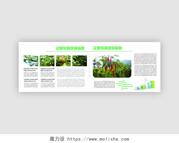 简约绿色清新大气农业农产品果蔬宣传画册